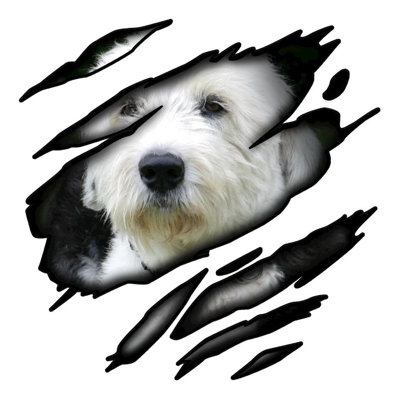 Bobtail in mir