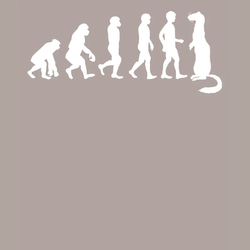 Frettchenfreund - Frettchen - Lustig - Evolution