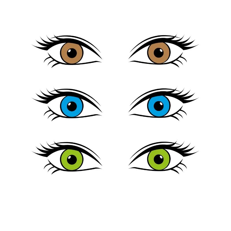 Augen
