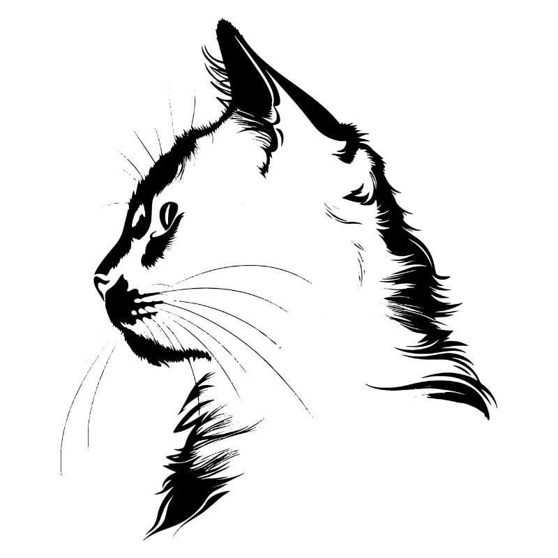 Chat, Motif De Chat
