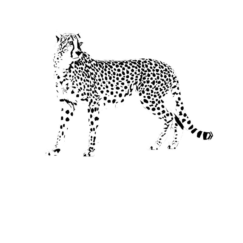 Gepard