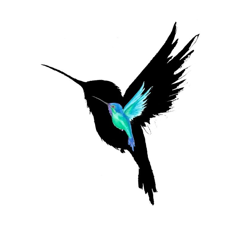 Smaragd-Kolibri