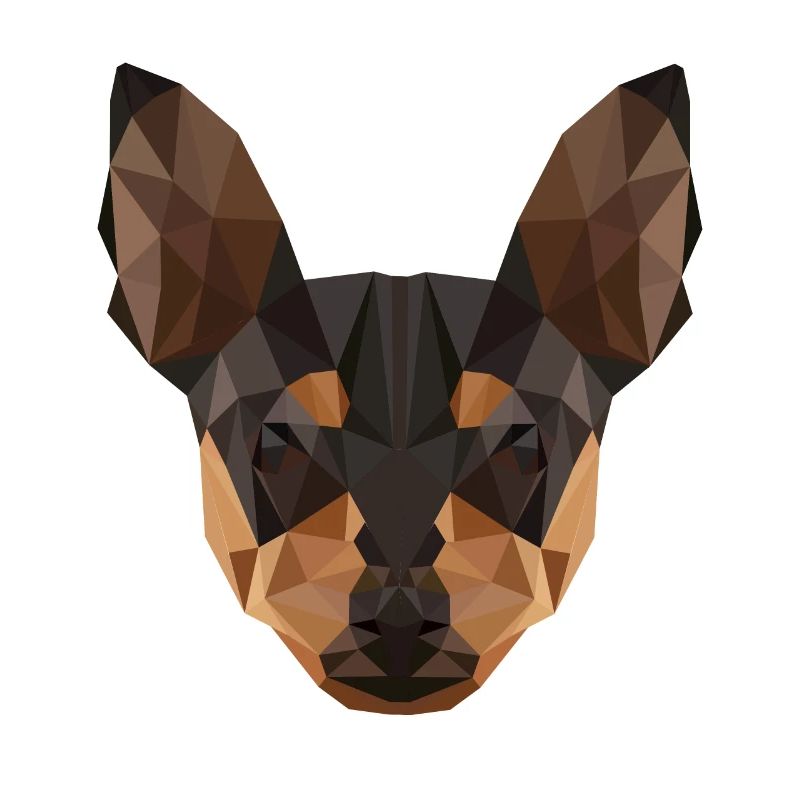 Hund