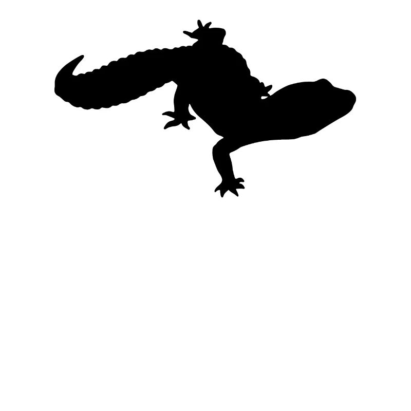 Leopard gecko