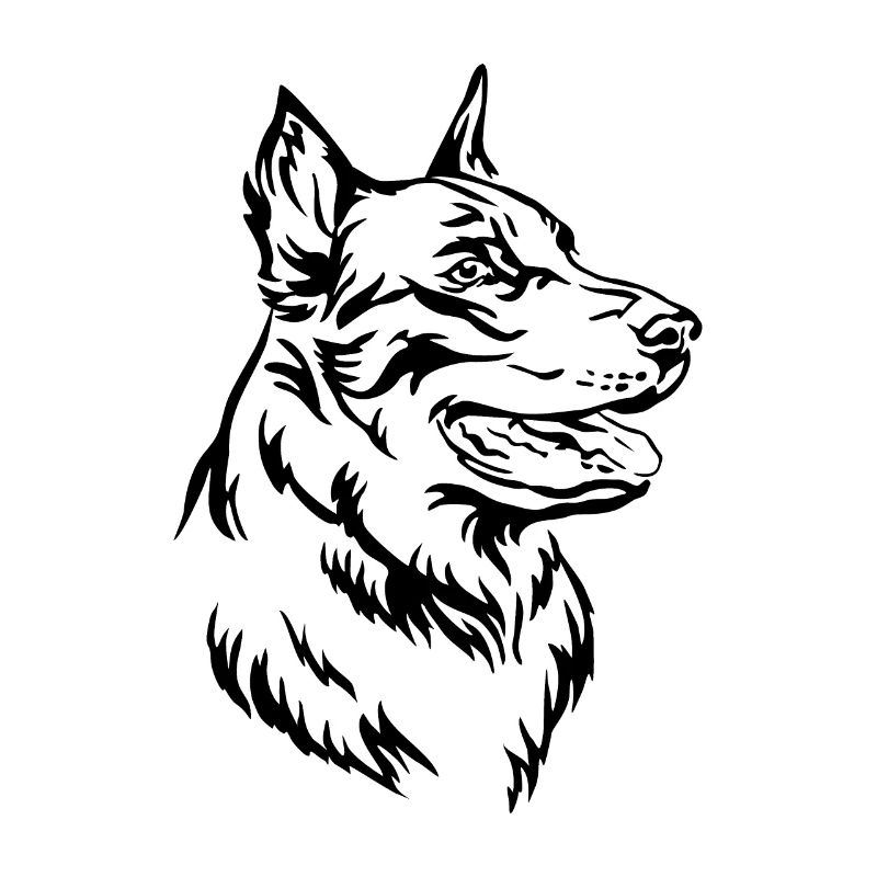 Beauceron