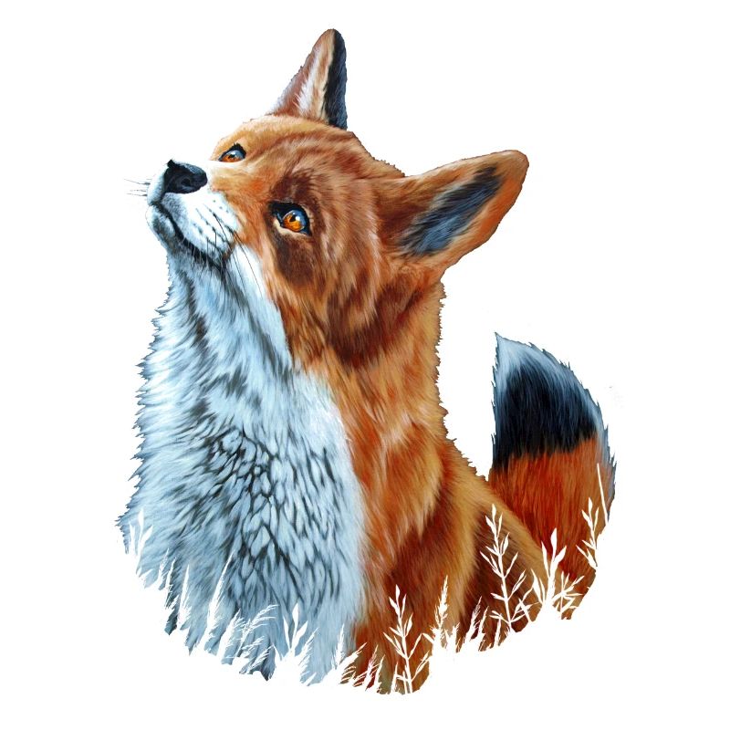 Fuchs