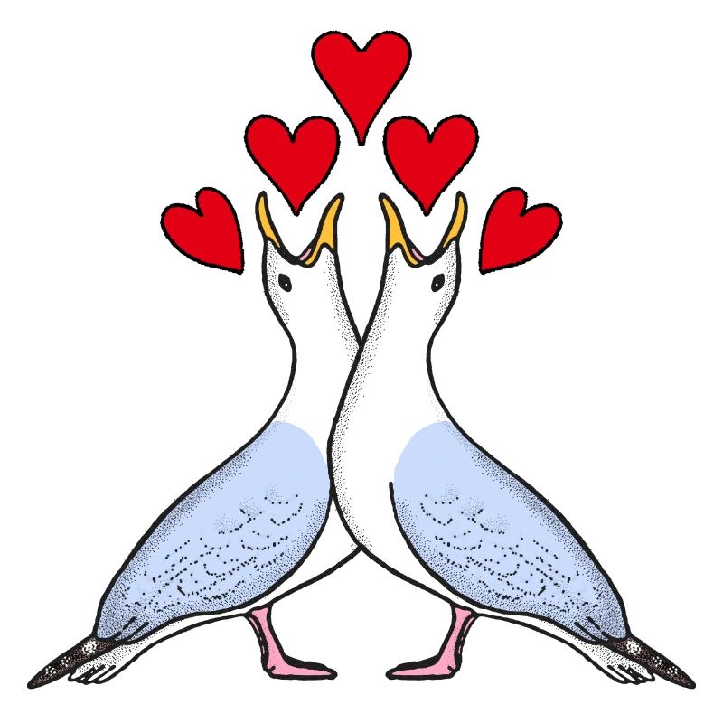 Möwenliebe