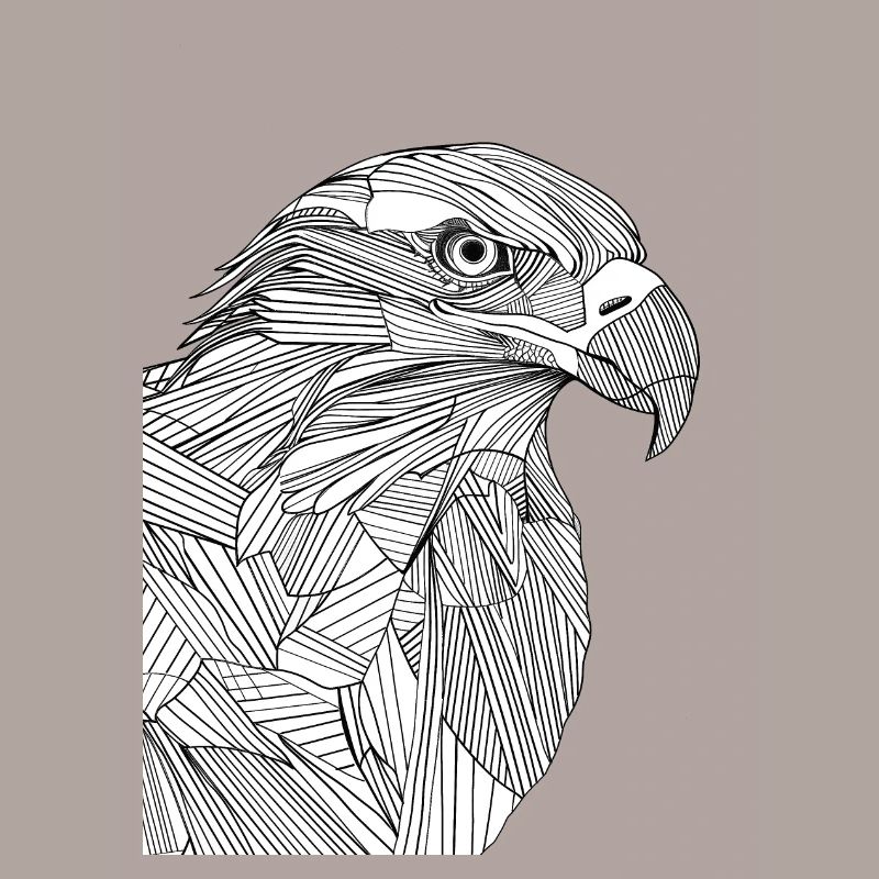 Lignes art aigle #eagle