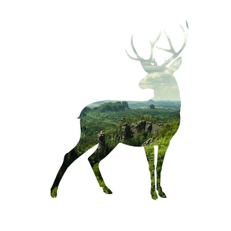 Hirsch Silhoutte