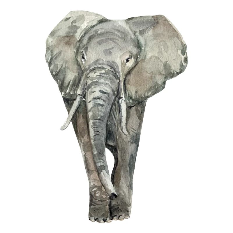 Éléphant