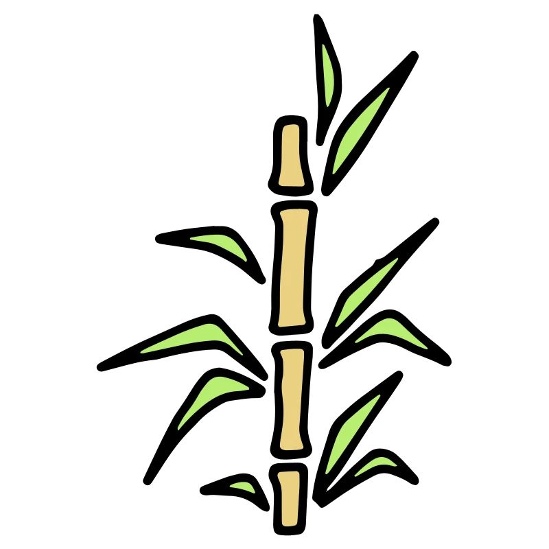 Bambus Bamboo Bambusrohr