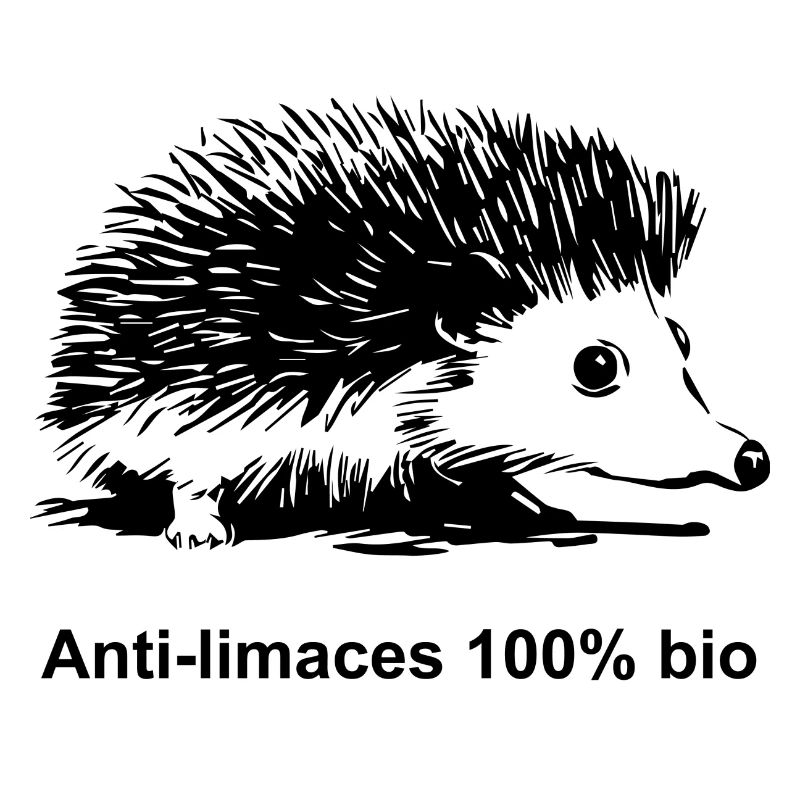 Igel