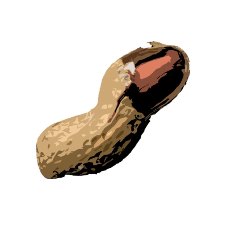 geschälte Erdnuss comic style