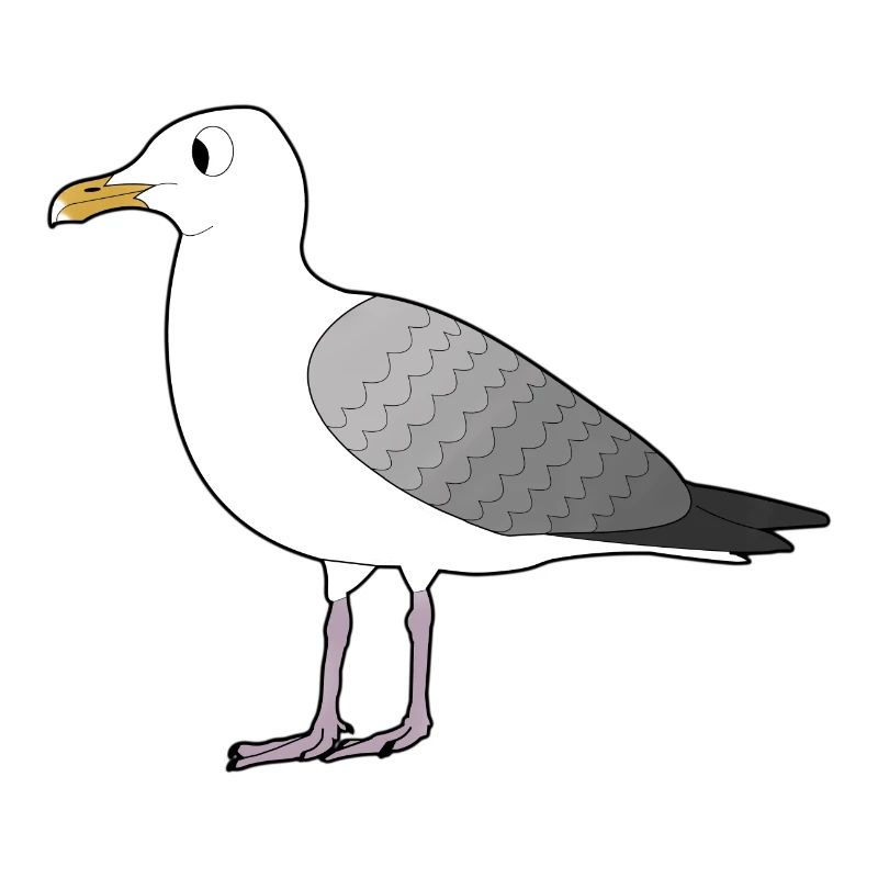 MÖWE