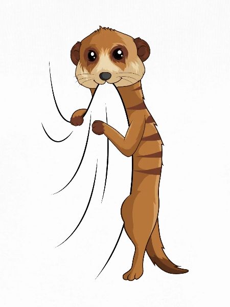 Erdmännchen