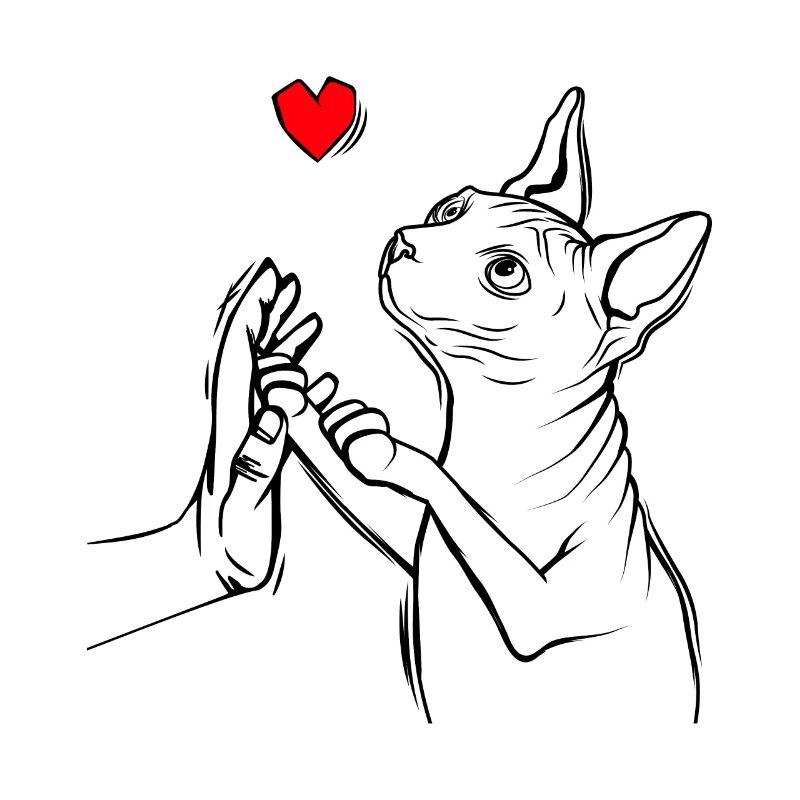 Sphynx Katze