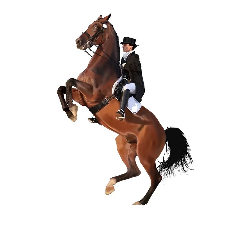Eleganter Reiter auf Springendem Pferd