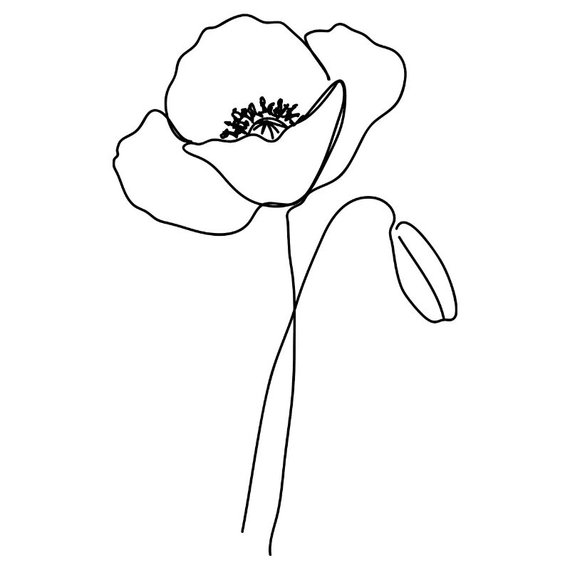 Mohnblume