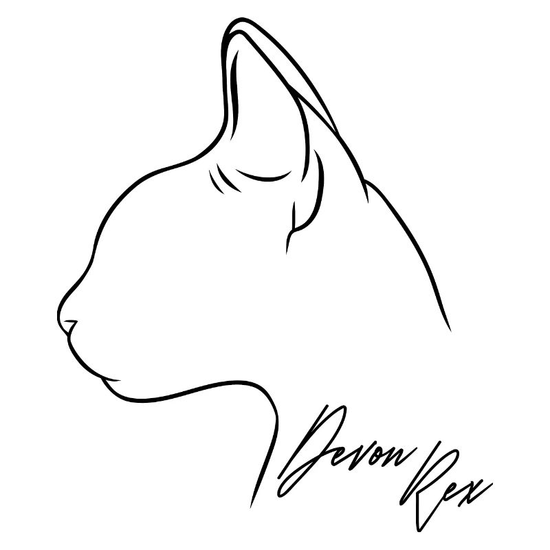 Devon Rex Profil Katzen Katze Wilsigns