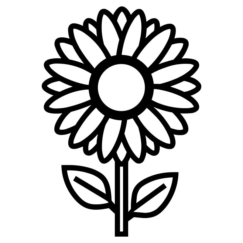 Sonnenblume