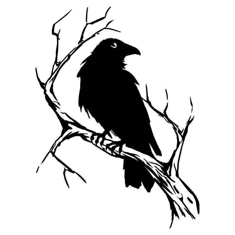 Raven