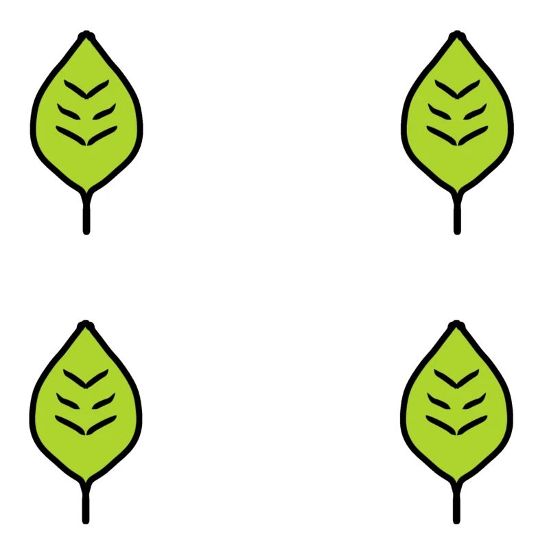 four leaves leaf green nature pattern