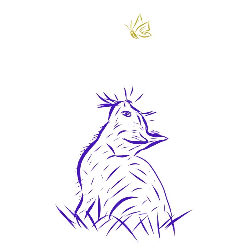 chat