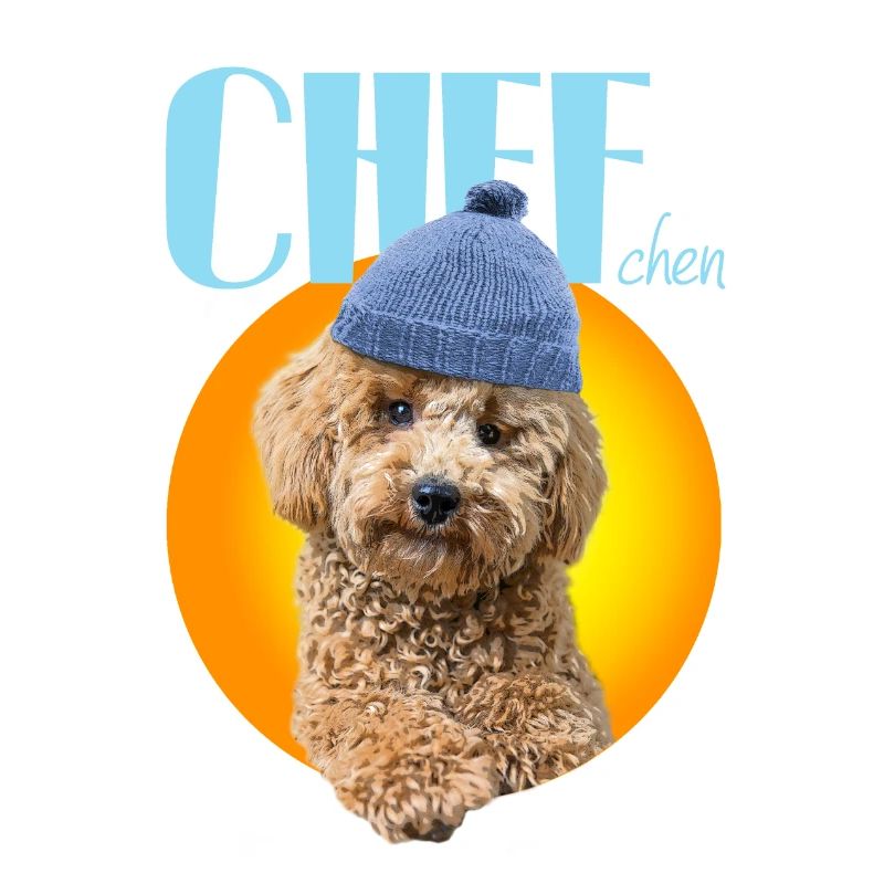 Caniche avec bonnet caniche « Chef »