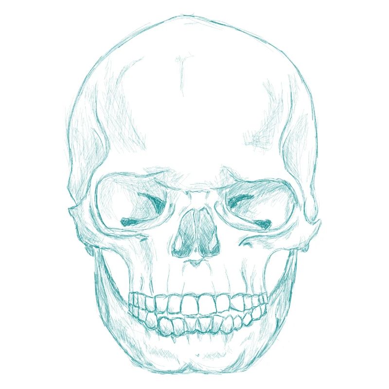 SkullSketchDarkTurquoise