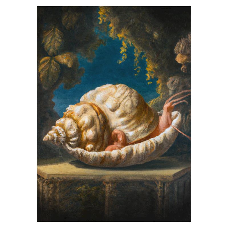 Underwater Snail