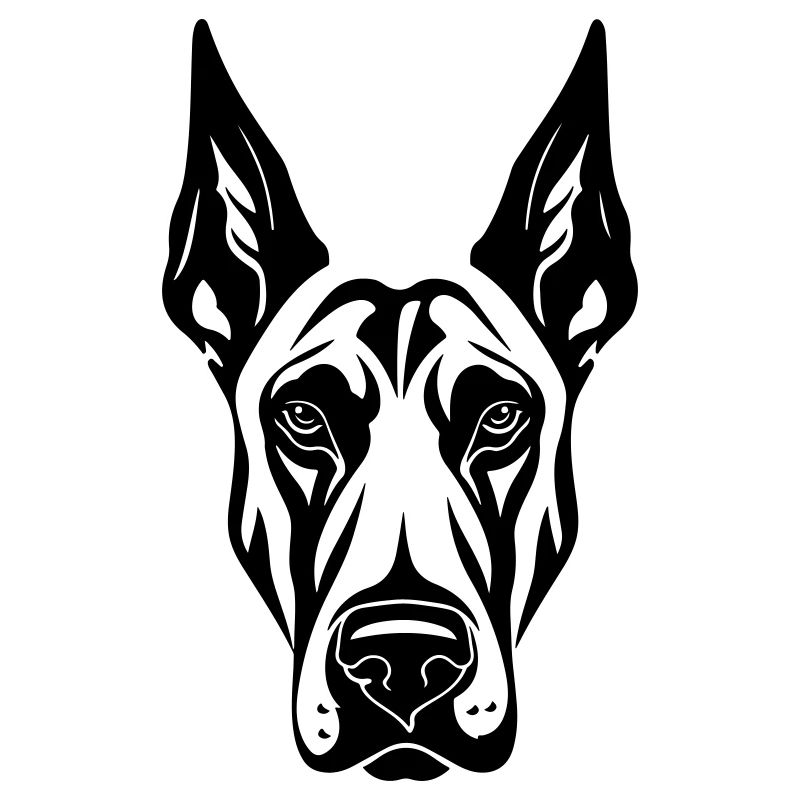 Doberman Hund Kopf
