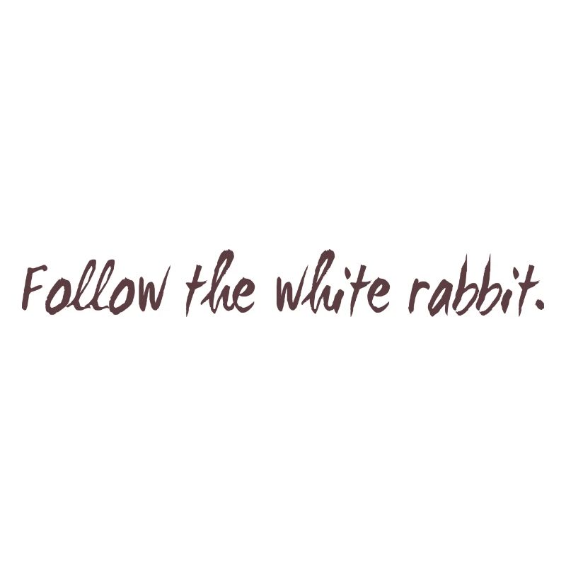 Follow the white rabbit programming cadeau
