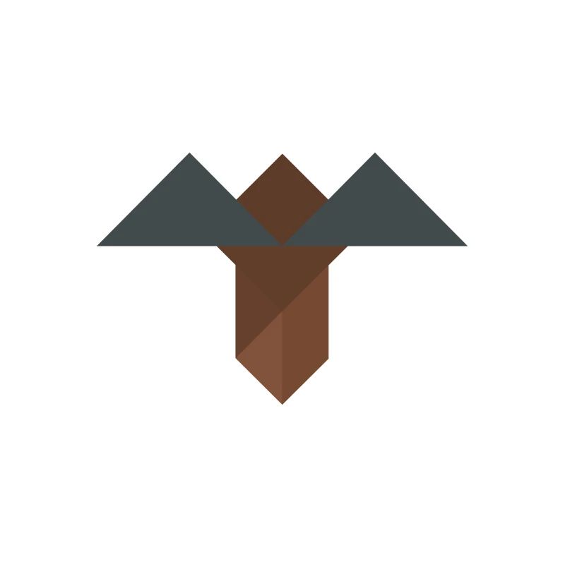 Pioche - Tangram