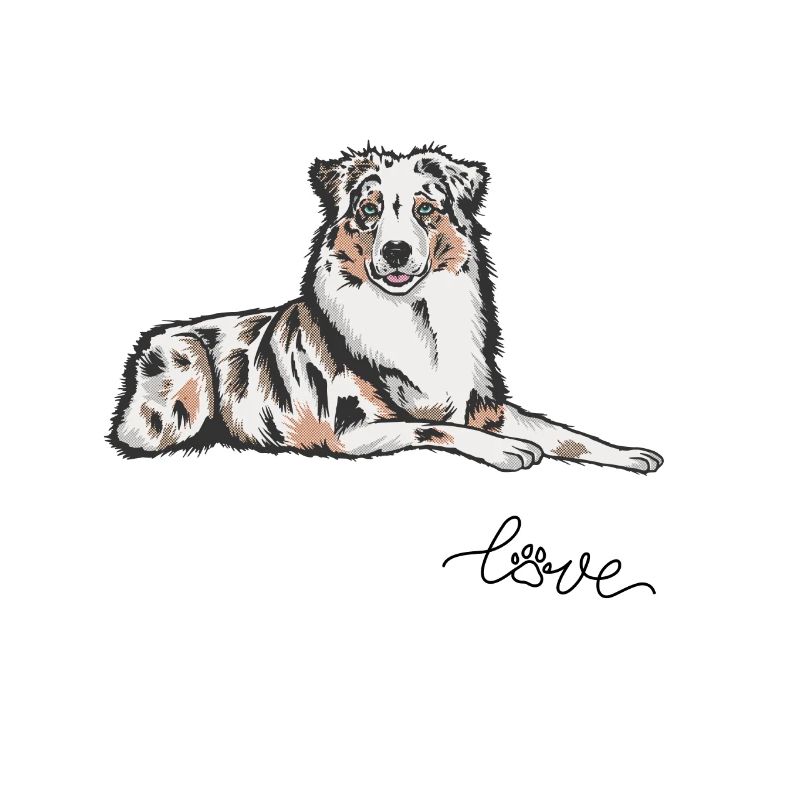 Australian Shepherd Hund Aussie Hundemama