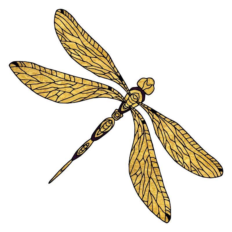 Libellule