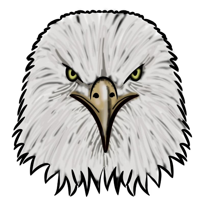 Aigle