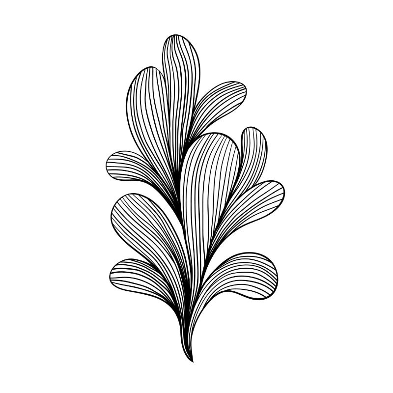 buisson noir