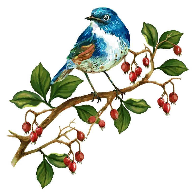 Bunter Vogel