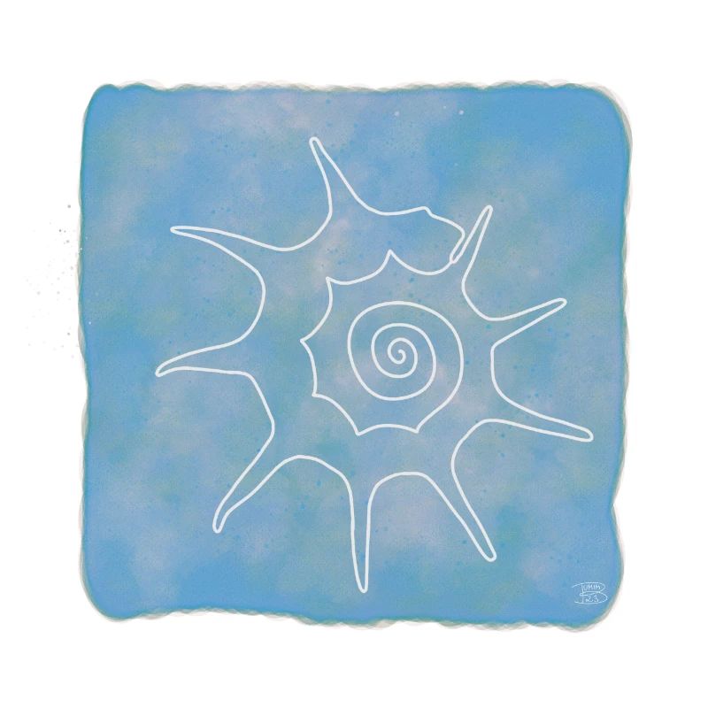 Bolma, Boho Line Art Design, Serie Shells
