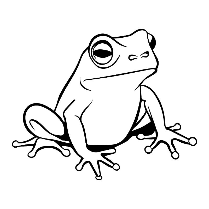 Frog Amphibian Toad
