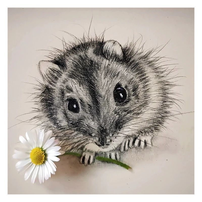 Hamster