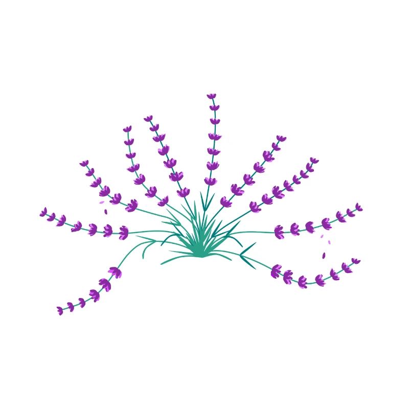 Lavendel