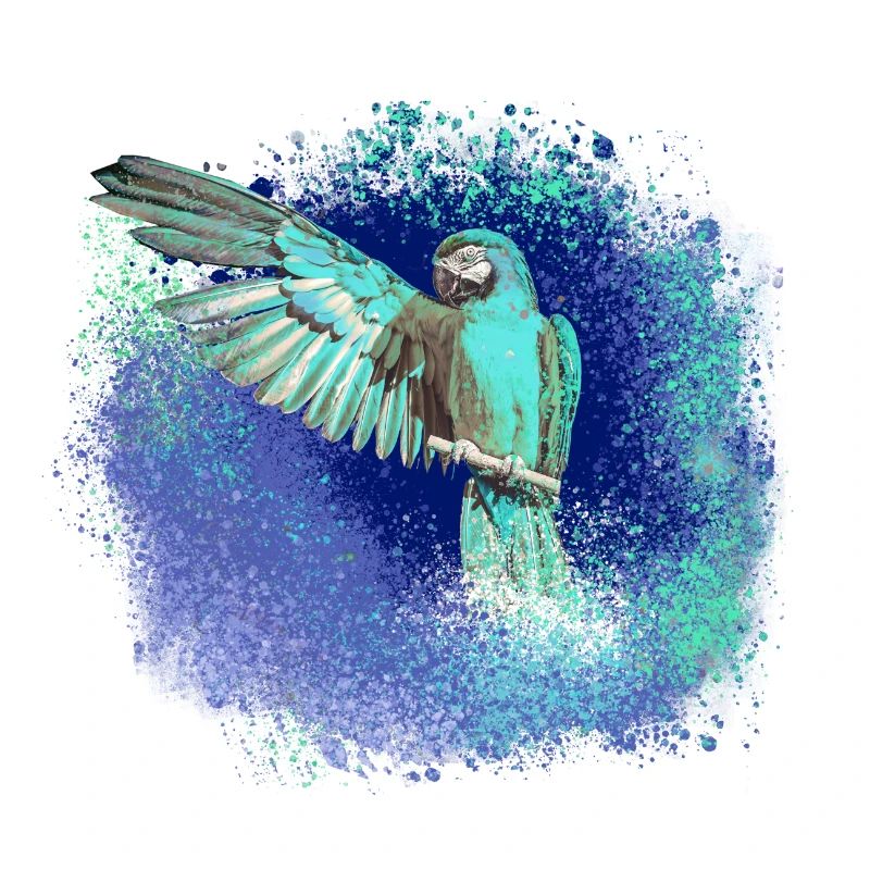 sittich ara,,vogel,graffiti,mint,blau,brush,spray