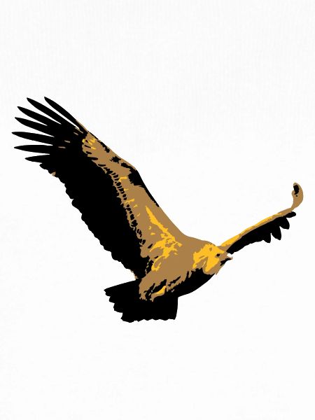Vautour