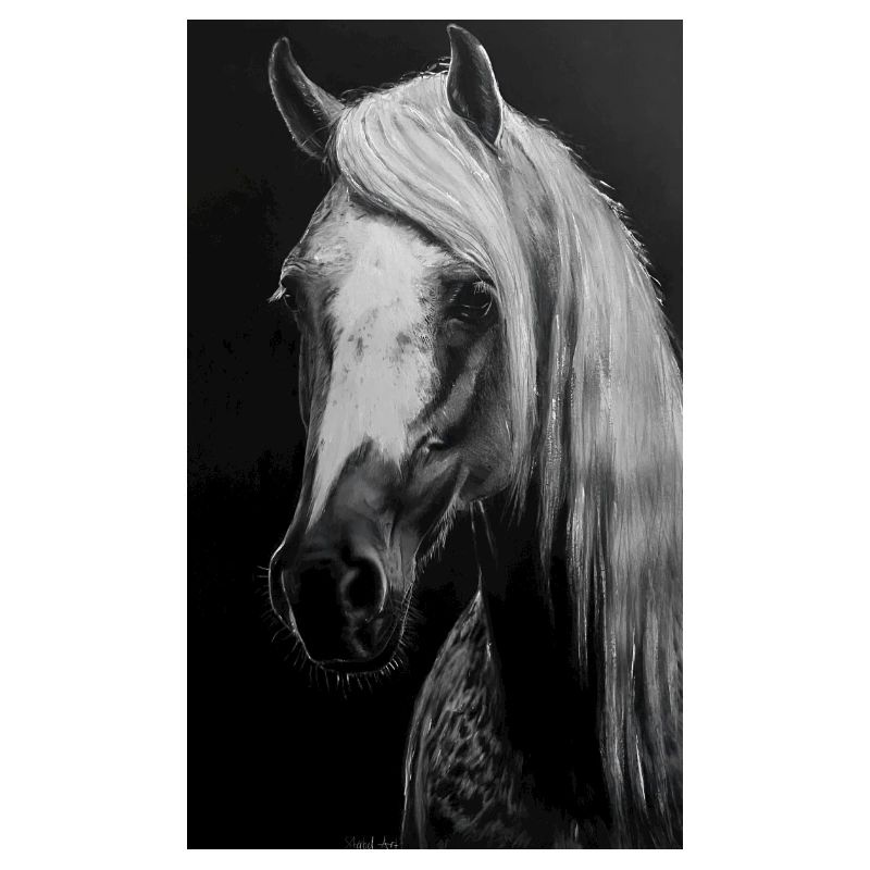 Cheval blanc