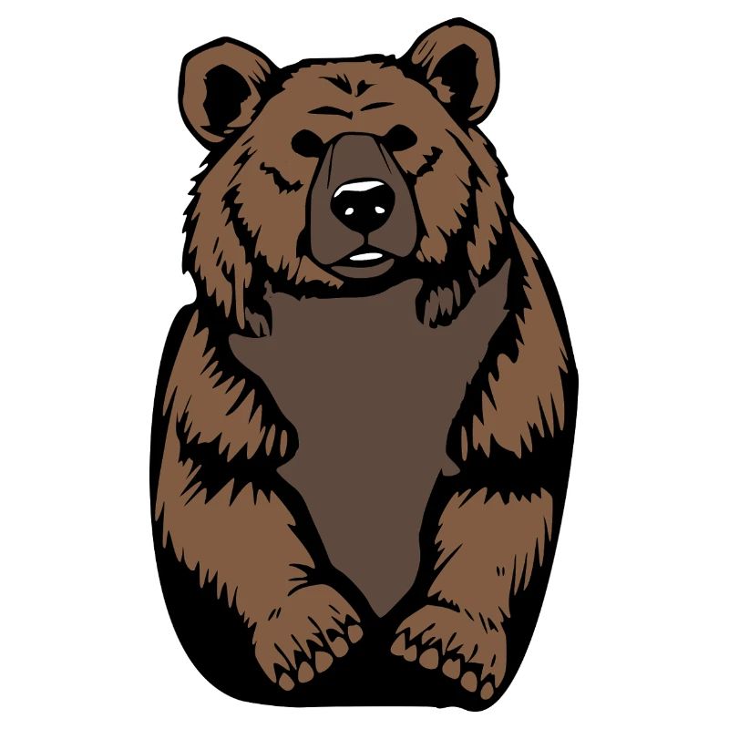 Bär BärenT-shirt Geschenk