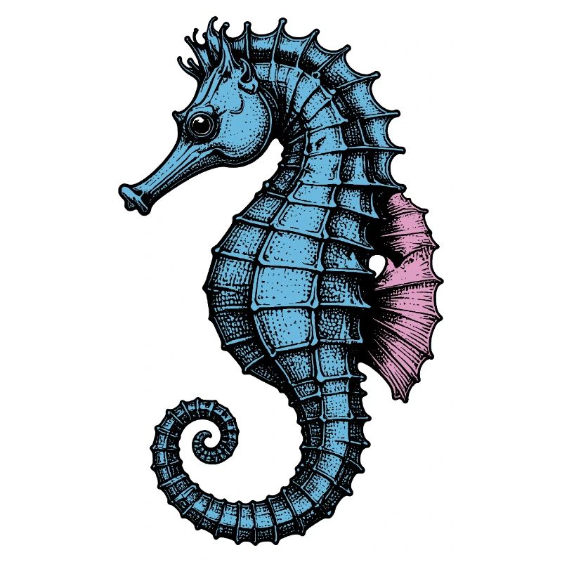 Seepferdchen