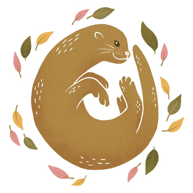Wild animals - Otters