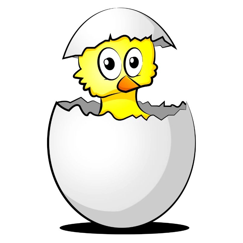 Chick