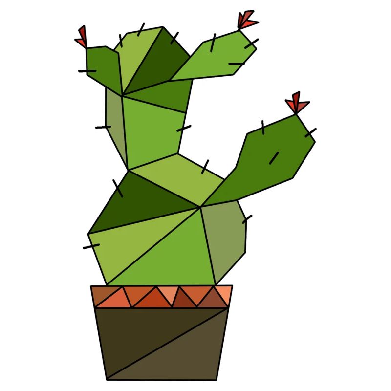 Kaktus geometrisch